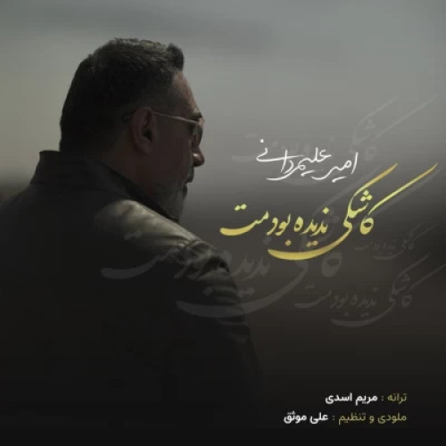 دانلود آهنگ امیر علیمردانی به نام کاشکی ندیده بودمت